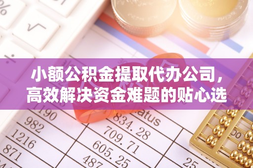 资中小额公积金提取代办公司，高效解决资金难题的贴心选择