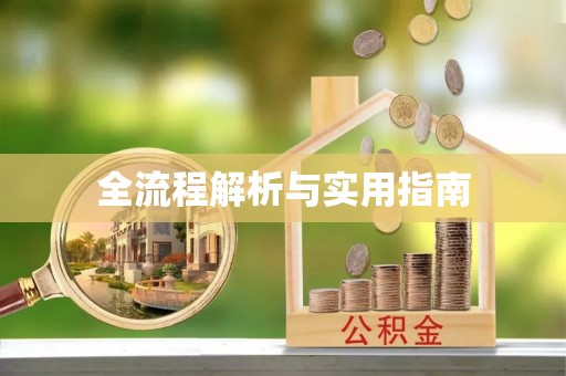 资中全流程解析与实用指南